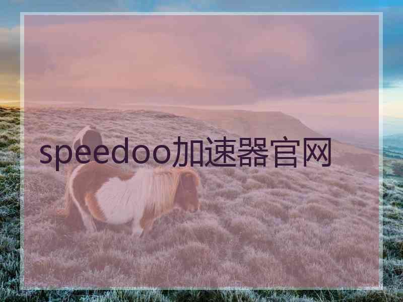 speedoo加速器官网