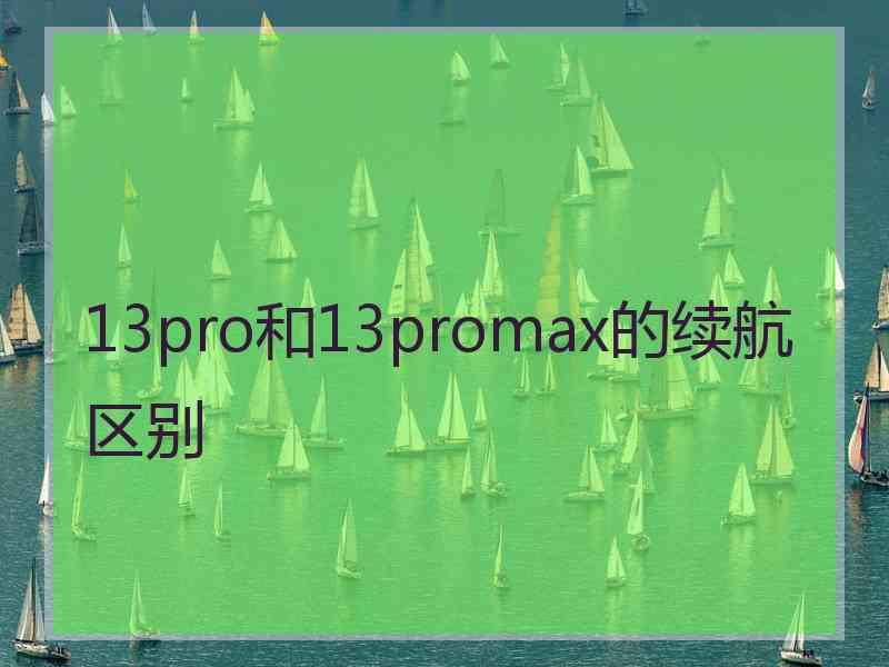 13pro和13promax的续航区别