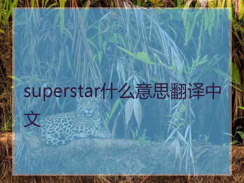 superstar什么意思翻译中文