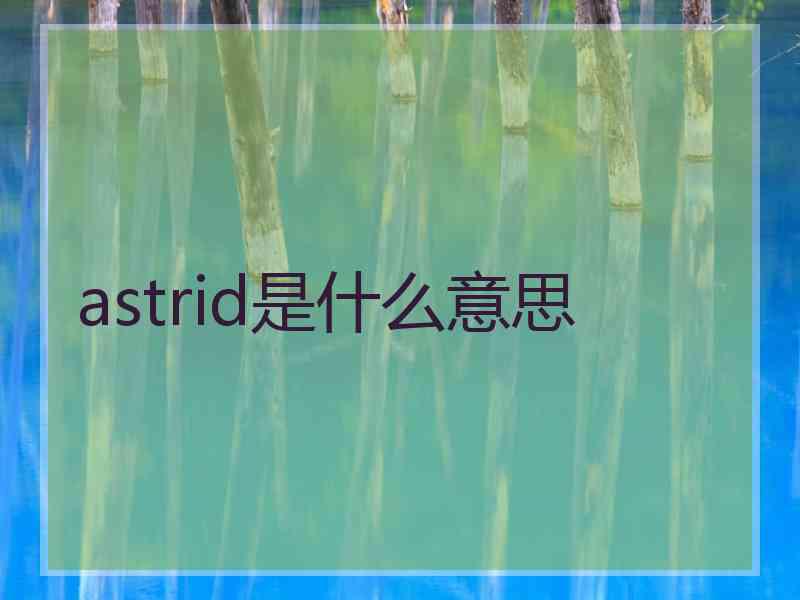 astrid是什么意思