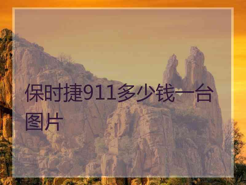 保时捷911多少钱一台图片