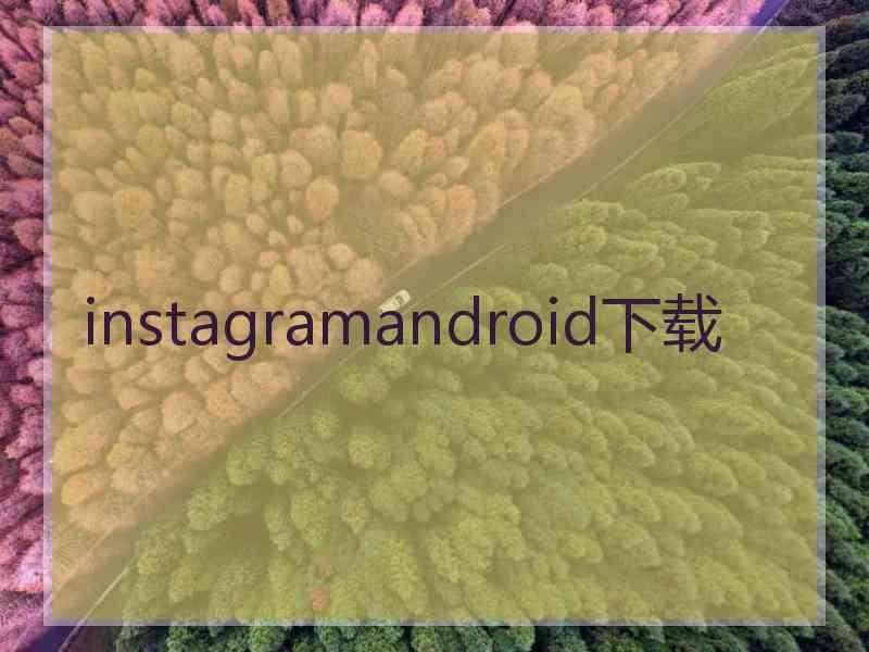 instagramandroid下载