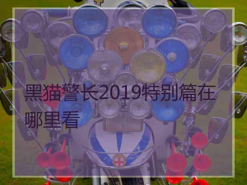 黑猫警长2019特别篇在哪里看