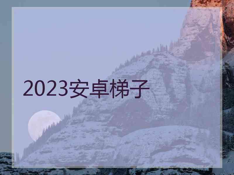 2023安卓梯子