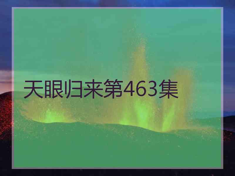 天眼归来第463集