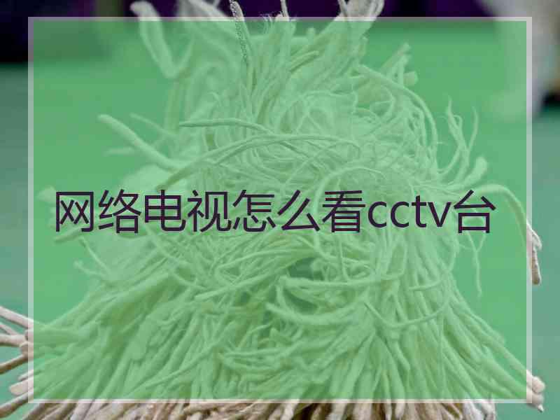 网络电视怎么看cctv台