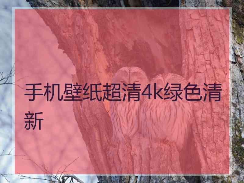 手机壁纸超清4k绿色清新