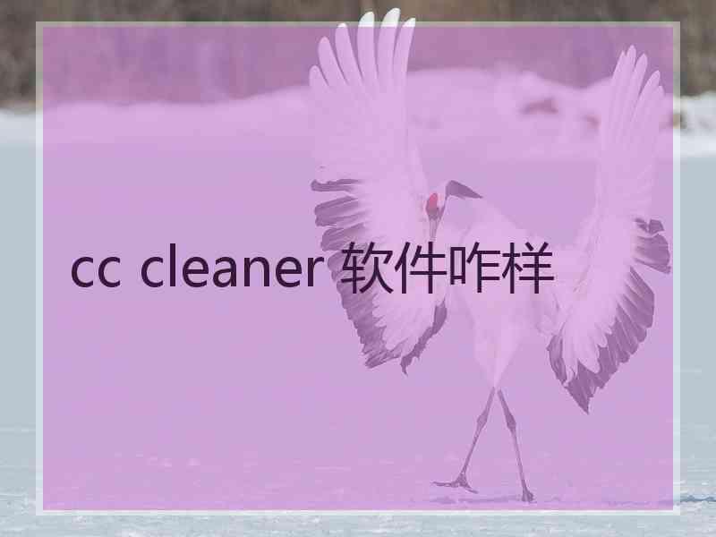 cc cleaner 软件咋样