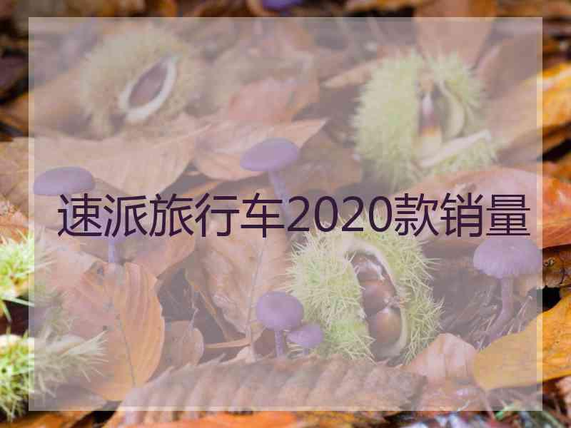 速派旅行车2020款销量