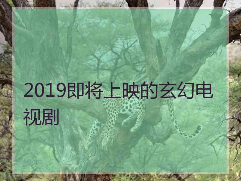 2019即将上映的玄幻电视剧