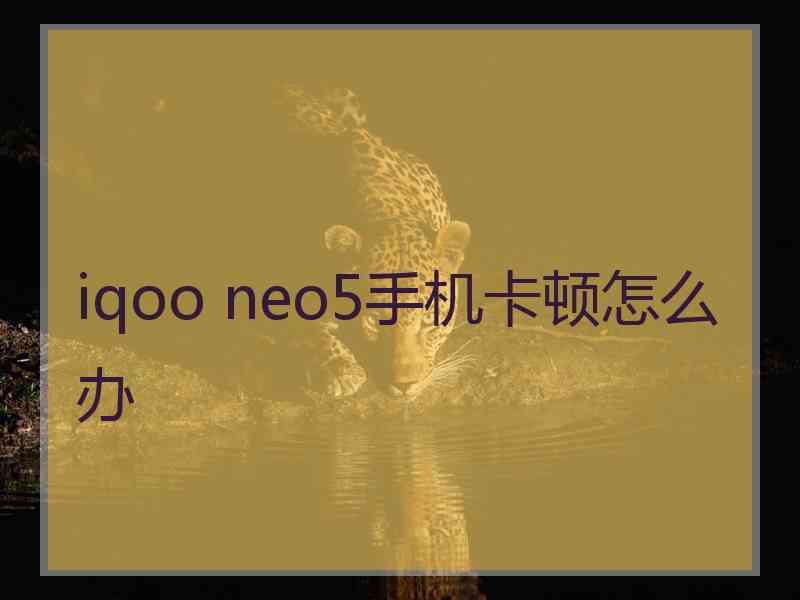 iqoo neo5手机卡顿怎么办