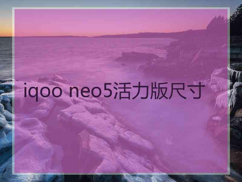 iqoo neo5活力版尺寸