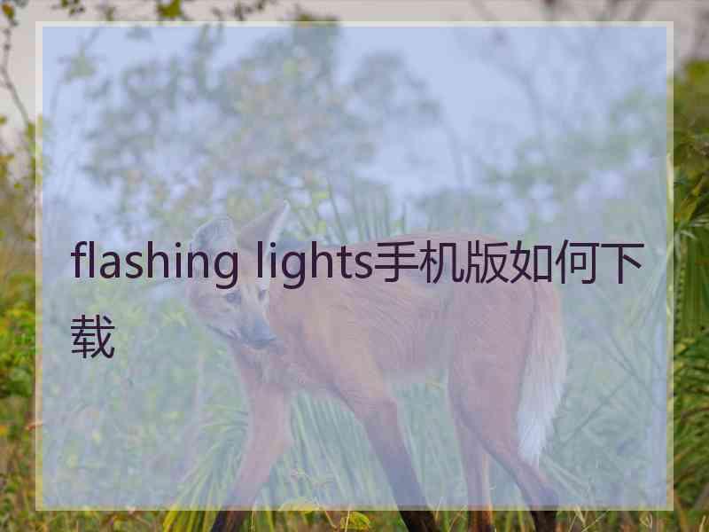 flashing lights手机版如何下载