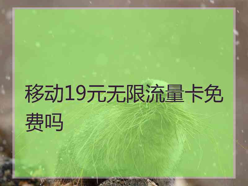 移动19元无限流量卡免费吗