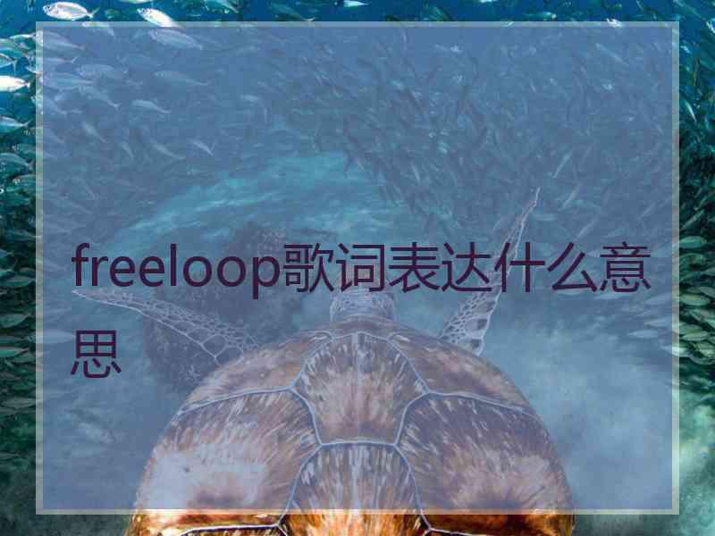 freeloop歌词表达什么意思