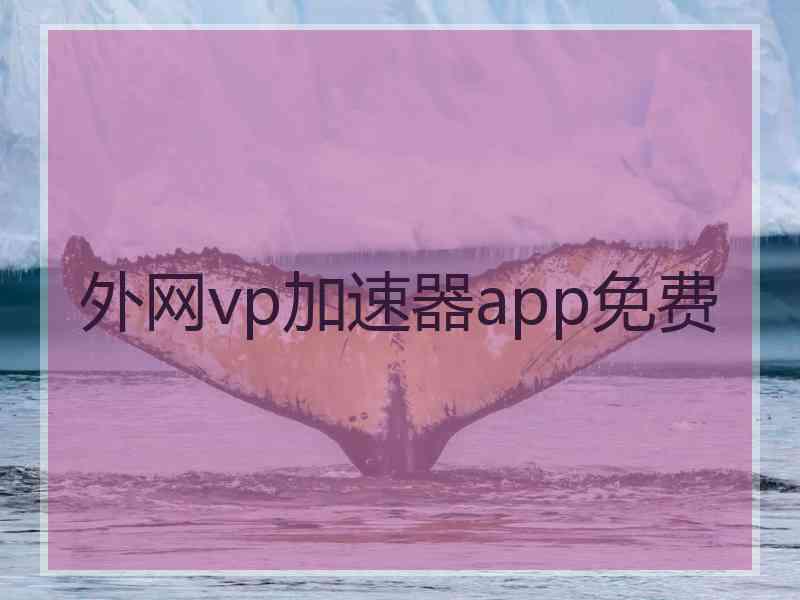 外网vp加速器app免费