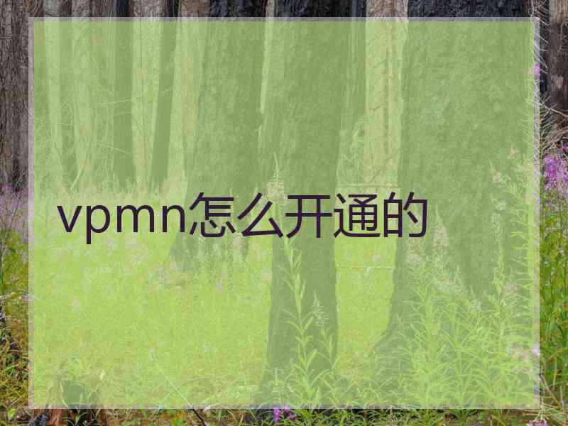 vpmn怎么开通的