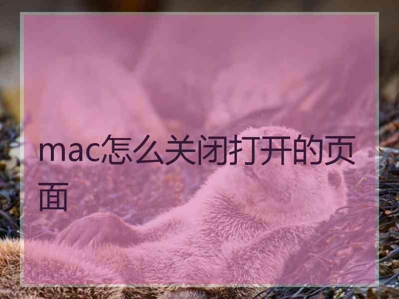 mac怎么关闭打开的页面