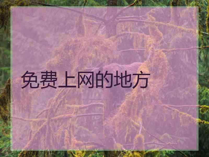 免费上网的地方