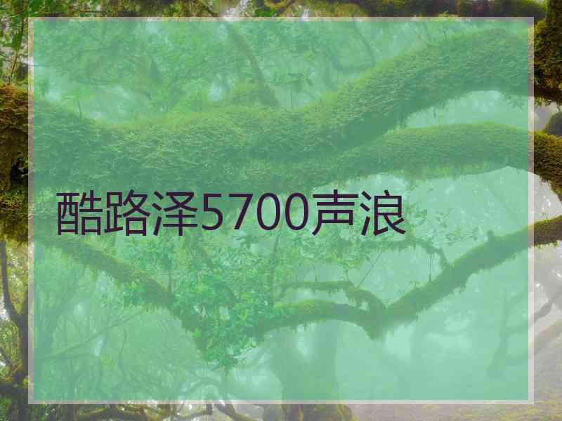 酷路泽5700声浪