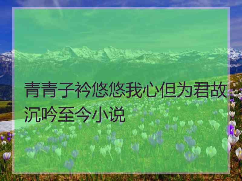 青青子衿悠悠我心但为君故沉吟至今小说