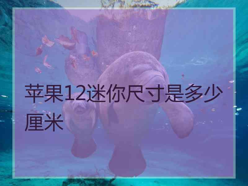 苹果12迷你尺寸是多少厘米