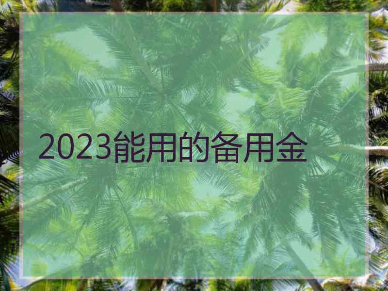 2023能用的备用金