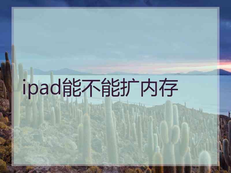 ipad能不能扩内存