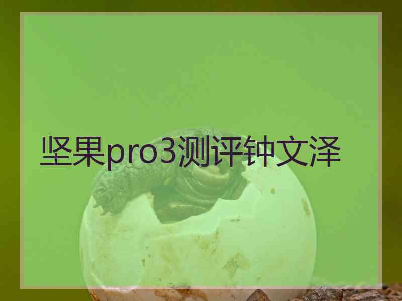 坚果pro3测评钟文泽