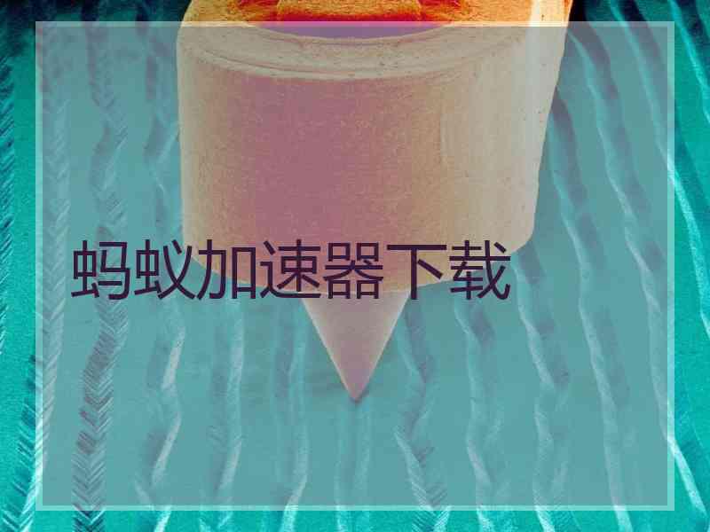 蚂蚁加速器下载