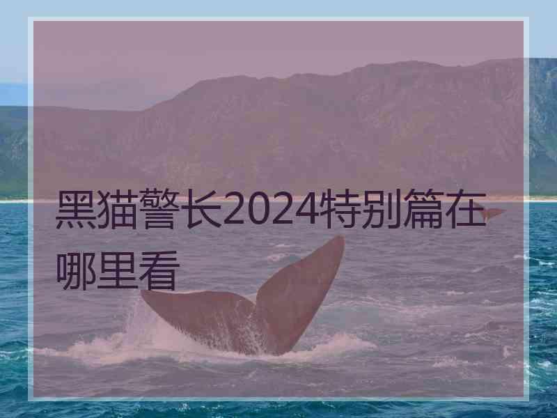 黑猫警长2024特别篇在哪里看