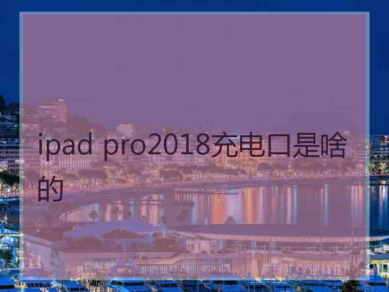 ipad pro2018充电口是啥的