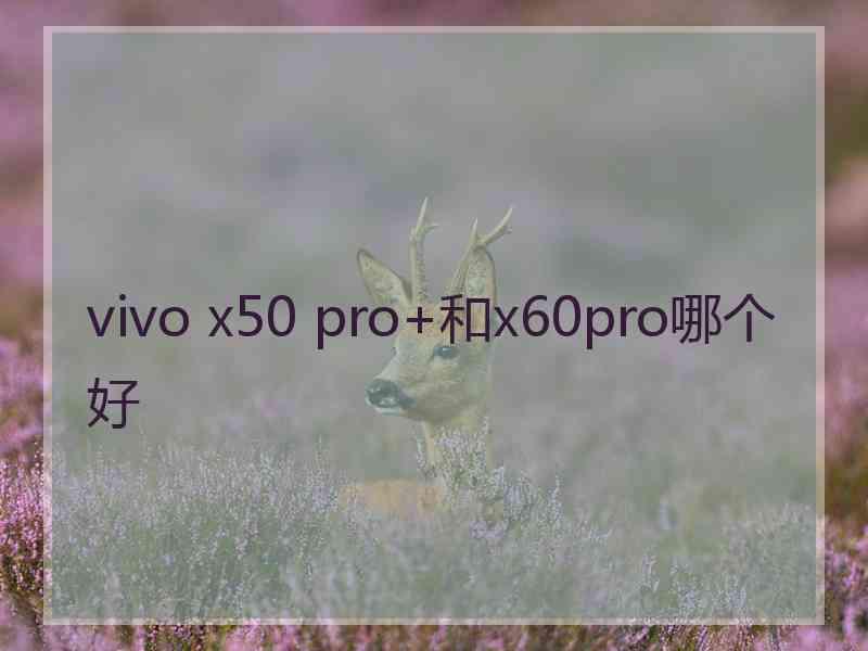 vivo x50 pro+和x60pro哪个好