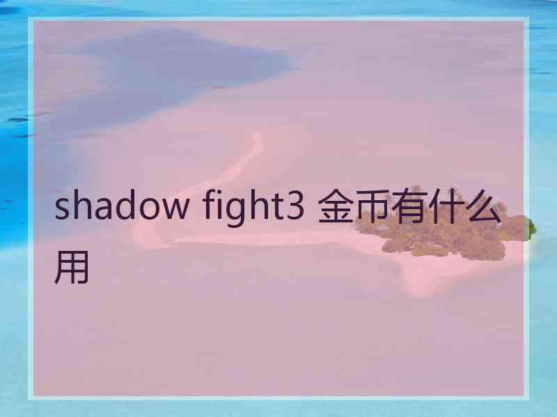 shadow fight3 金币有什么用