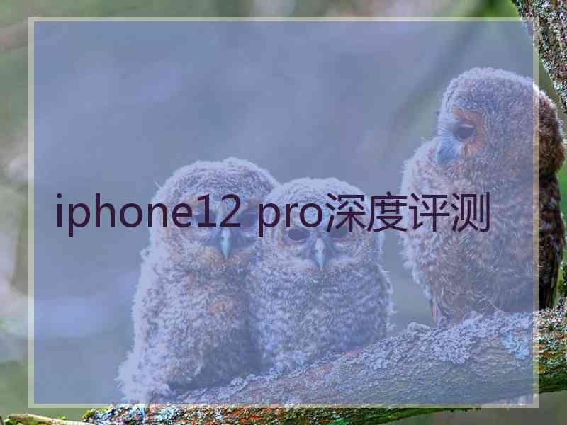 iphone12 pro深度评测