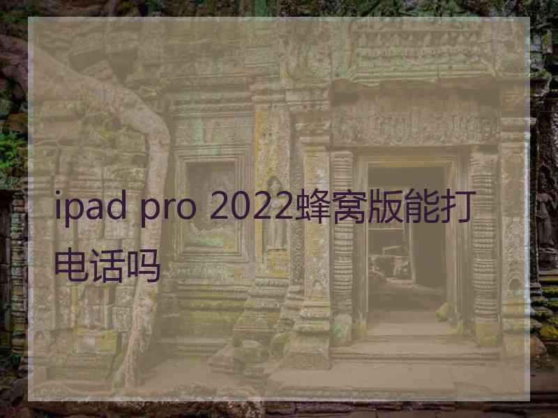 ipad pro 2022蜂窝版能打电话吗