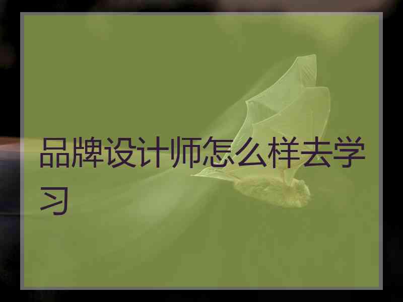 品牌设计师怎么样去学习