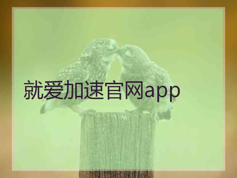 就爱加速官网app