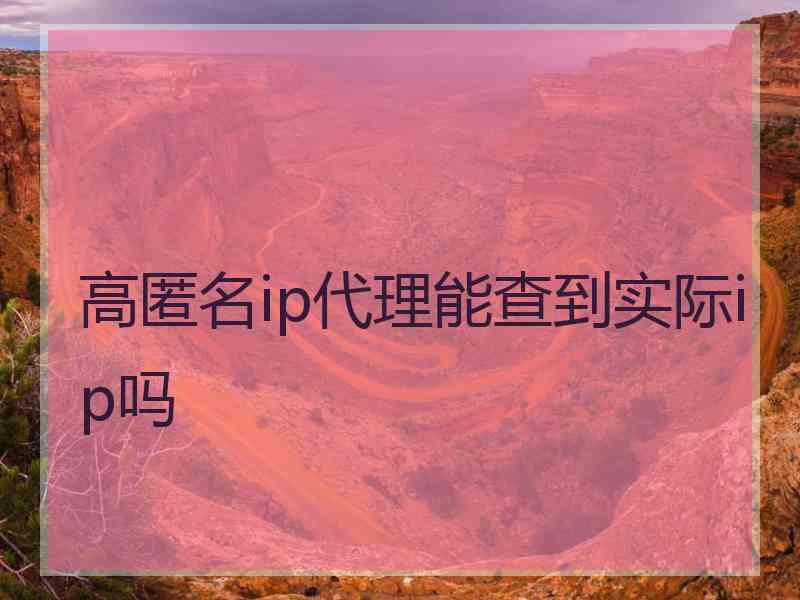 高匿名ip代理能查到实际ip吗