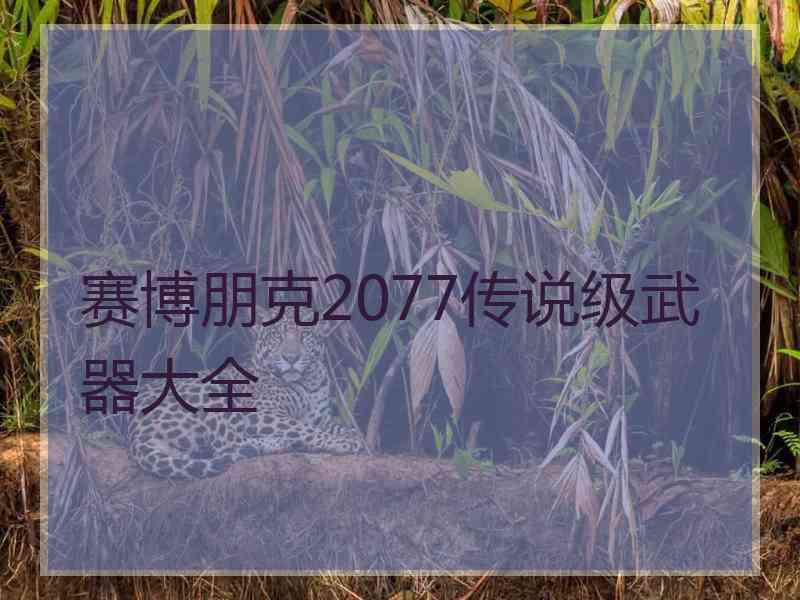 赛博朋克2077传说级武器大全