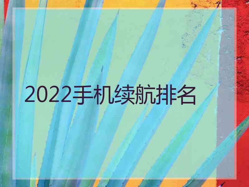 2022手机续航排名