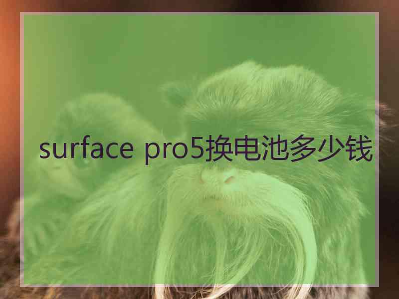 surface pro5换电池多少钱