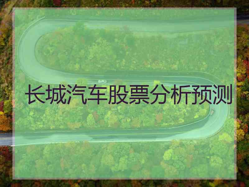 长城汽车股票分析预测