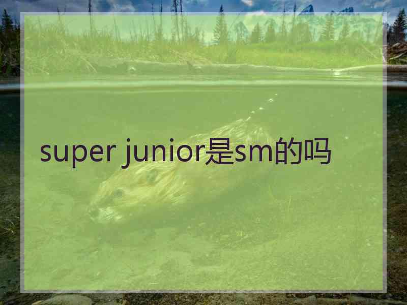 super junior是sm的吗