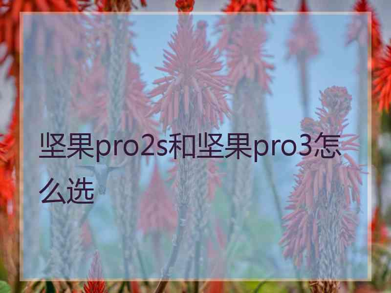 坚果pro2s和坚果pro3怎么选