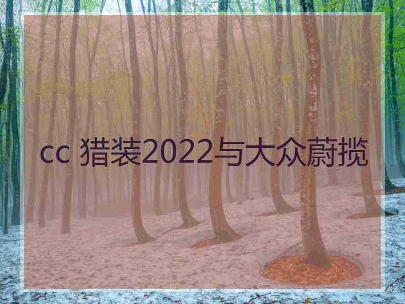 cc 猎装2022与大众蔚揽