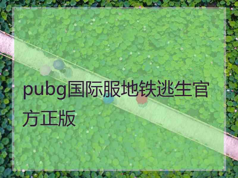 pubg国际服地铁逃生官方正版