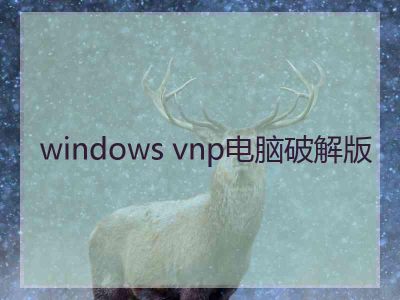 windows vnp电脑破解版