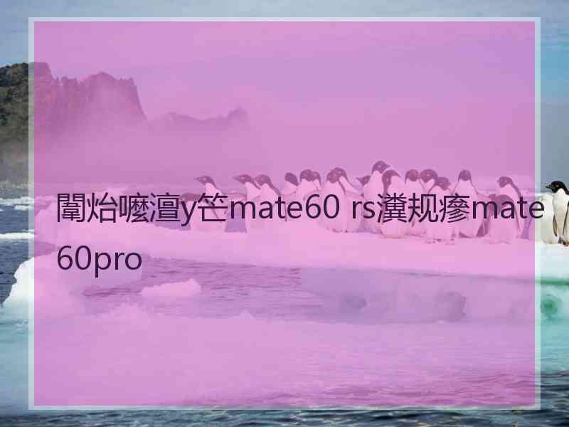 闈炲嚒澶у笀mate60 rs瀵规瘮mate60pro