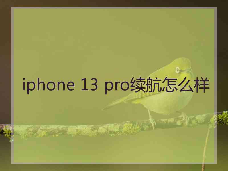 iphone 13 pro续航怎么样